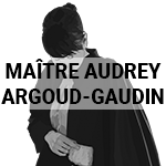 Pictogramme Droit Pénal Droit des Mineurs Droit de la Famille Droit Routier et de l’Automobile Maître Audrey ARGOUD GAUDIN
